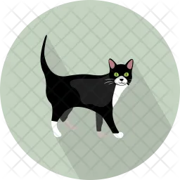 Cat  Icon