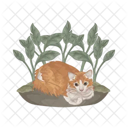 Cat  Icon