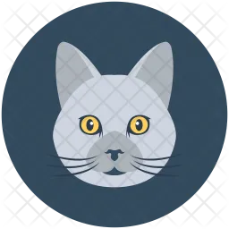 Cat  Icon