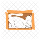 Cat Lying Sleeping Icon
