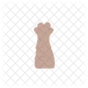 Cat Paw Vector Icon
