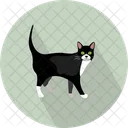 Cat Vector Illustration Icon