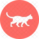 Cat Feline House Cat Icon
