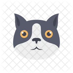 Cat  Icon