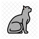 Cat Pet Color Icon