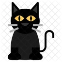 Cat Black Halloween Animal Cute Icon