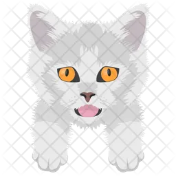 Cat  Icon