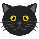 Cat Black Cat Kitten Icon