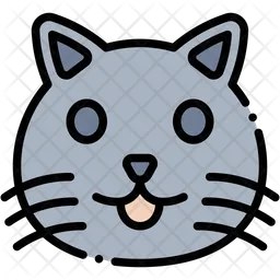 Cat  Icon