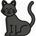 Cat Pet Cat Pet Icon