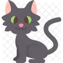 Cat Omen Feline Icon