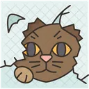 Cat Looking Eyes Icon
