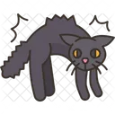 Cat Scared Angry Icon