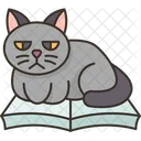 Cat Book Sitting Icon