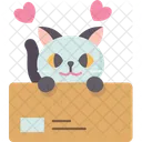 Cat Playing Box Icon