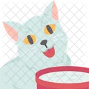 Cat Drinking Water Icon