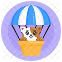 Cat Air Balloon  Icon