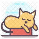 Cat Animal  Icon
