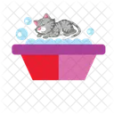 Cat Bath Cat Pet Icon