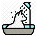 Cat Bathing  Icon