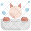 Cat Bathtub Pet Icon