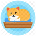 Cat Furniture Cat Bed Cat Resting Icon