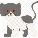 Cat Breed Exotic Short Hair  Icon