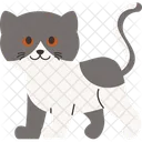 Cat Pet Animal Icon