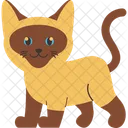 Cat Breed Siamese  Icon