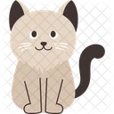 Cat Breed Siberian  Icon