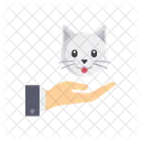 Cat Care  Icon