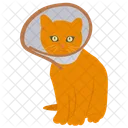 Cat collar cone  Icon