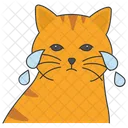 Cat Crying Sad Cat Expression Icon