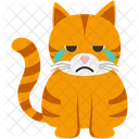 Cat Crying  Icon