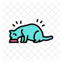 Cat Eating  Icon