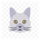 Cat Face Mammal Feline Icon