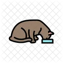 음식 그릇 고양이 아이콘