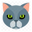 Cat Head  Icon