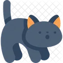 Cat Halloween Scary Icon