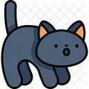 Cat  Icon