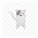 Cat Animal Pet Icon