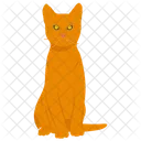 Cat  Icon