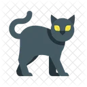 Cat Animal Pet Icon