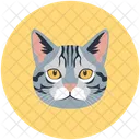 Cat Pet Kitten Icon