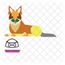 Cat  Icon