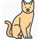 Cat Animals Cute Icon