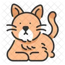 Cat  Icon