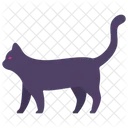 Cat Witch Halloween Icon