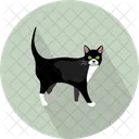 Cat  Icon