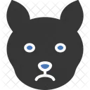 Cat  Icon